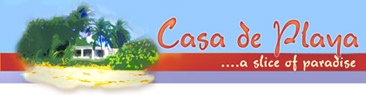EM Web designed logo